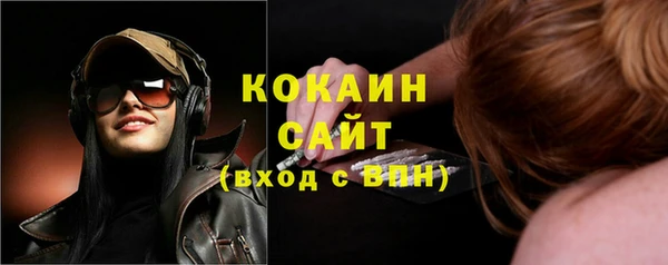 шишки Богданович